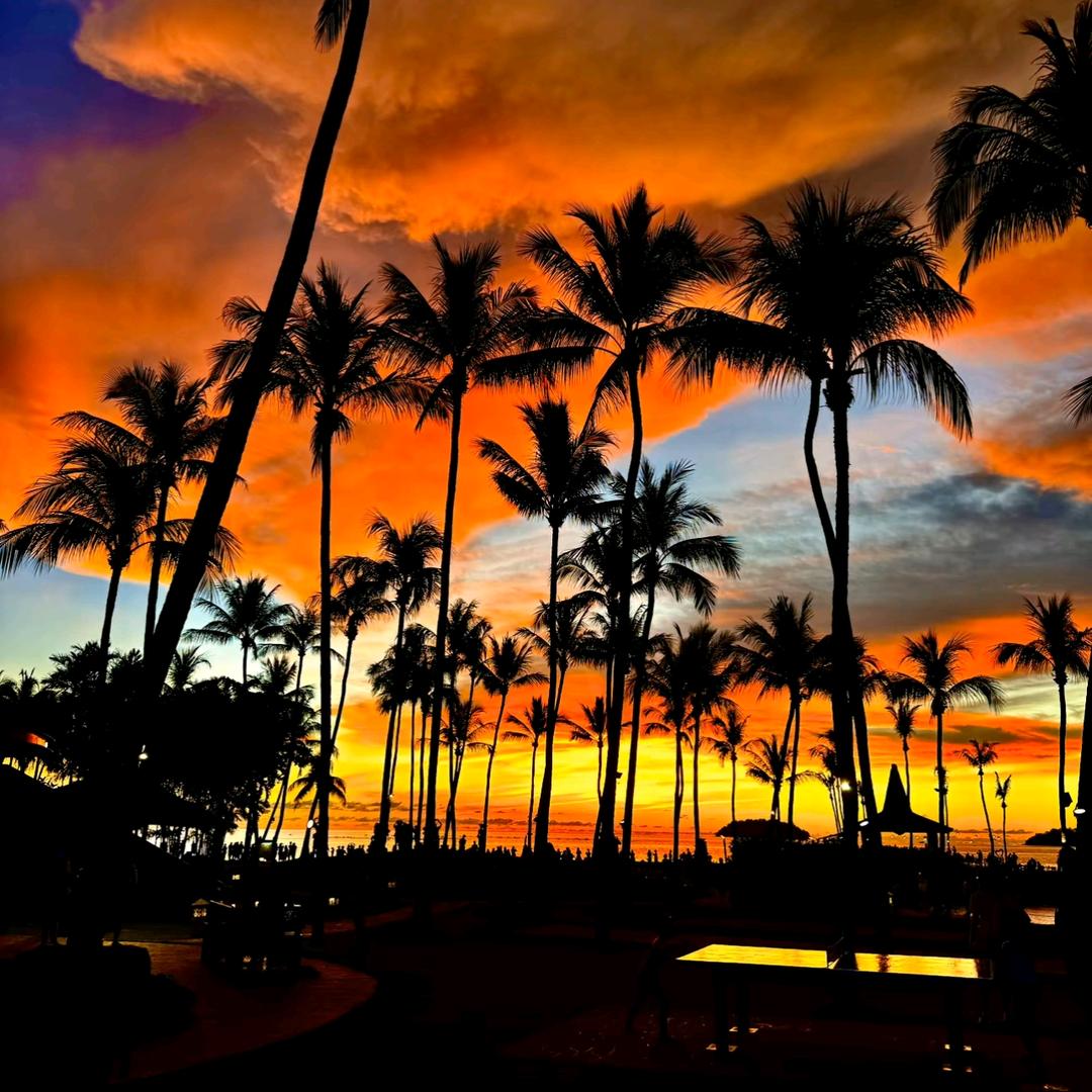 轻舟已过万重山