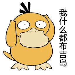 幼稚园呆呆鸟