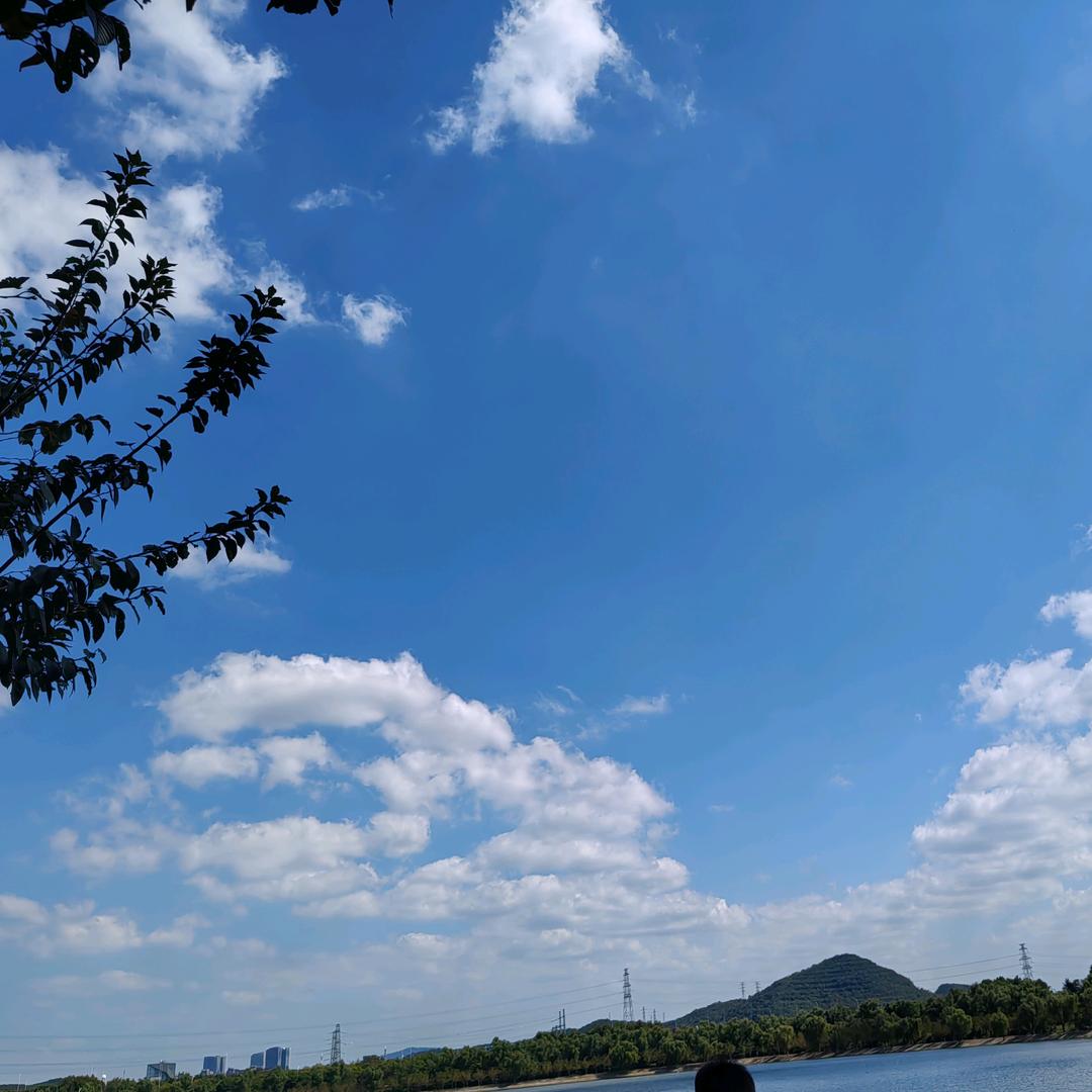 盛开妈妈