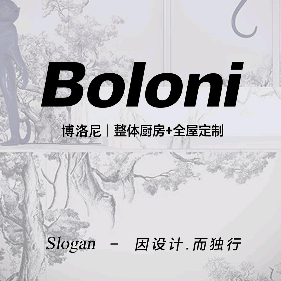 连云港博洛尼整体厨房+全屋定制