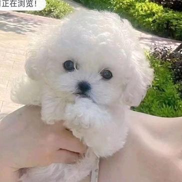 孤独习惯就好。