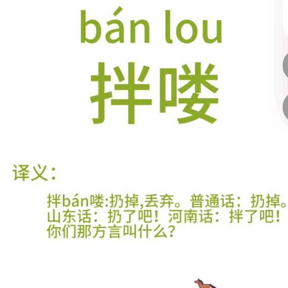 小笨羊儿