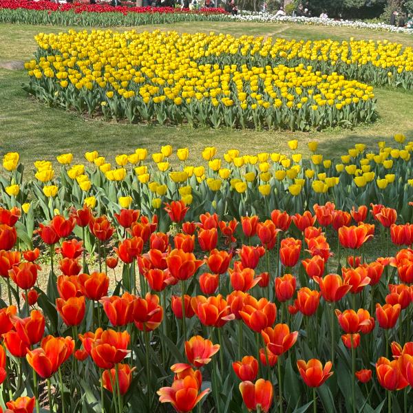 平平淡淡🍒🍒