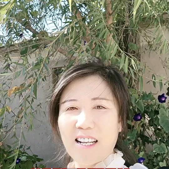 萍姐（上午8点10分）