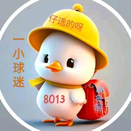 一小球迷☀️
