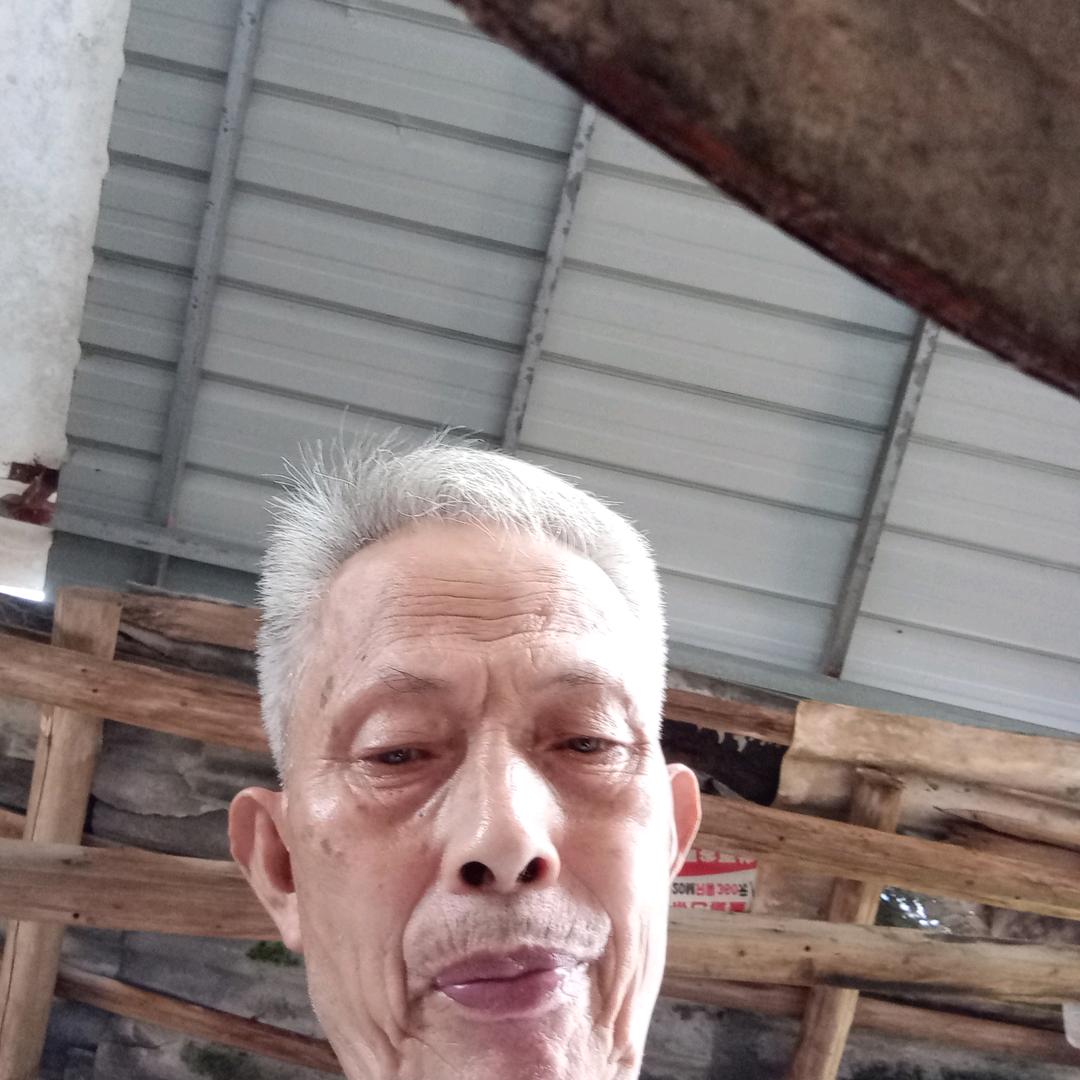 用户529356