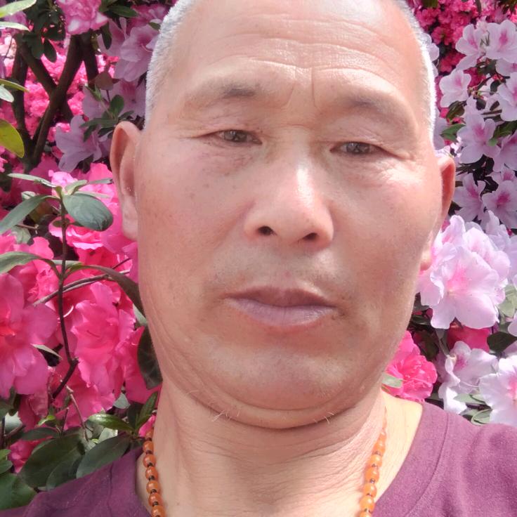 江神龙