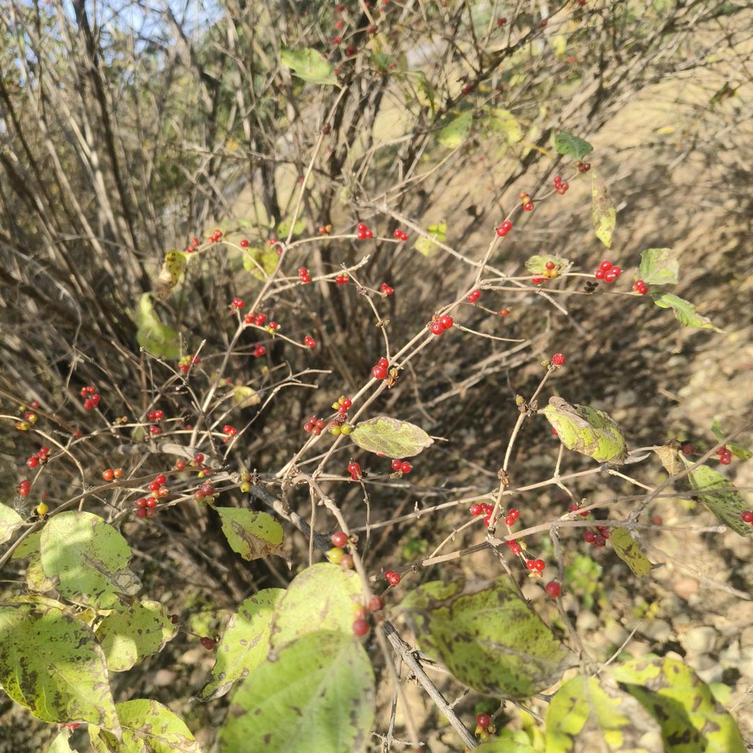 怡佳养老范立燕