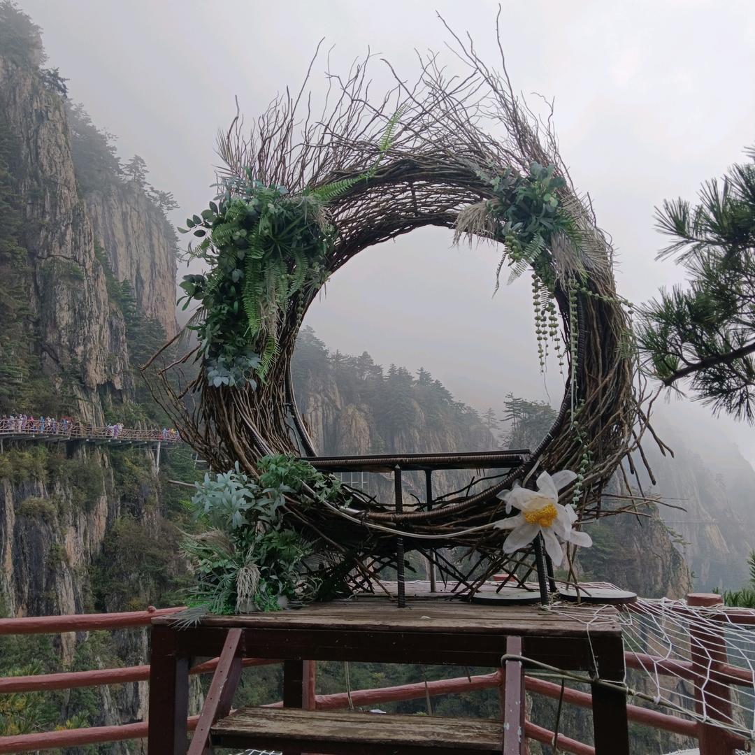 带你飞