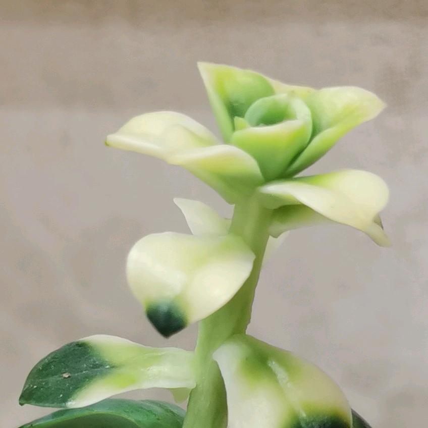 动静