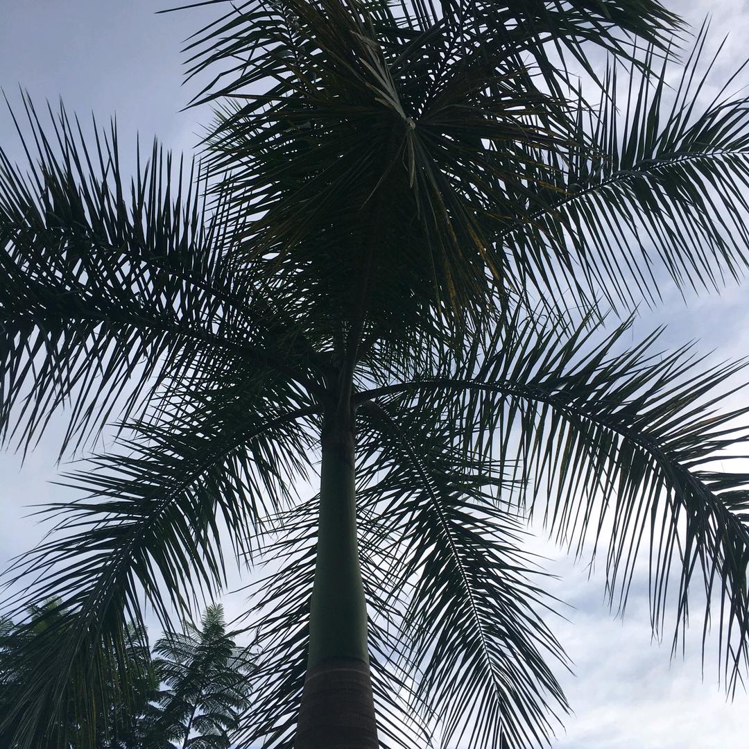 黄俐娟~抗衰延寿