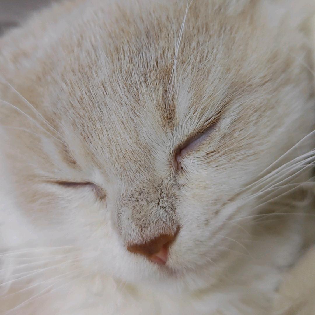 夏日限定-打工雷