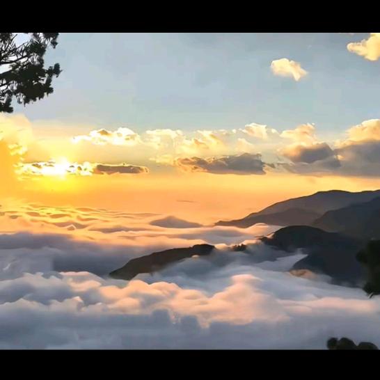 重庆长期废油上门回收