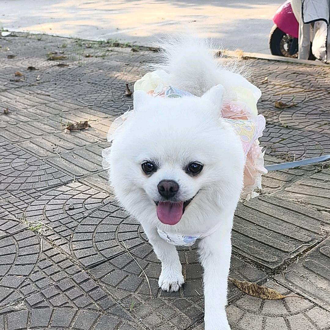 包容理解