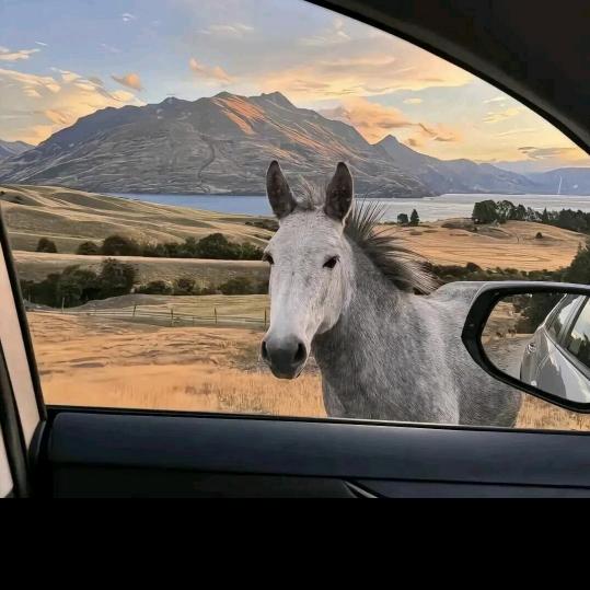 湖南千泓人力 程sir