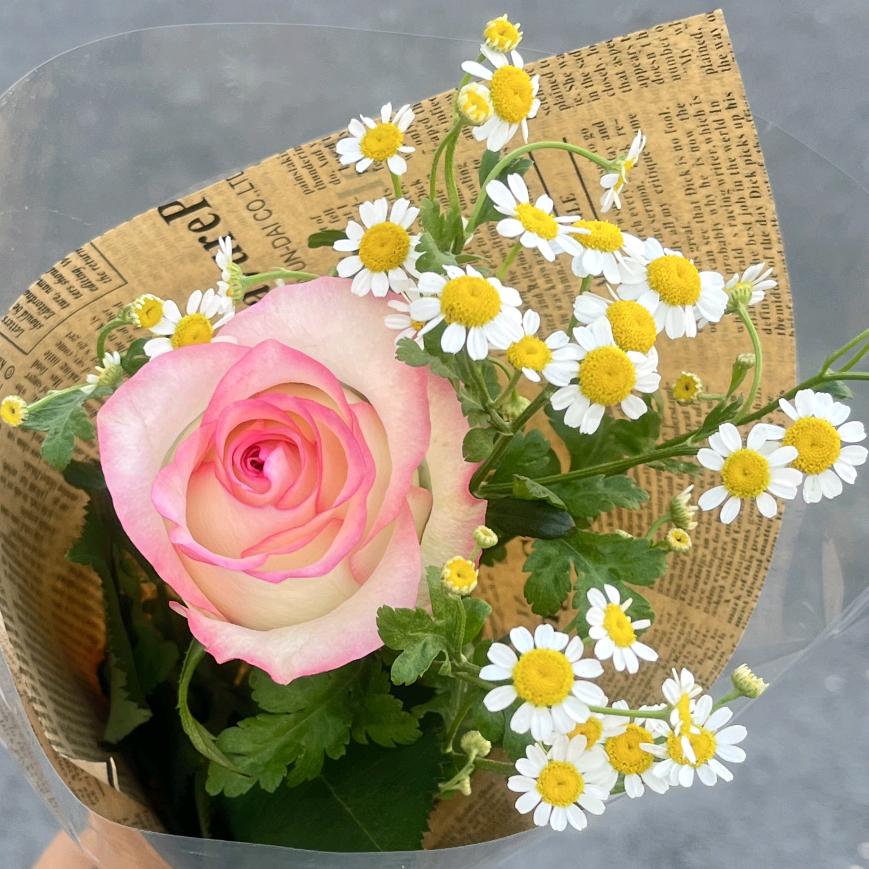 是你♥