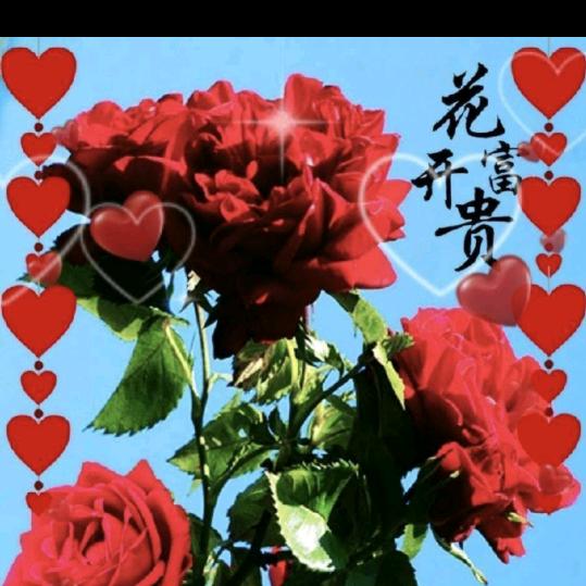 慧姐