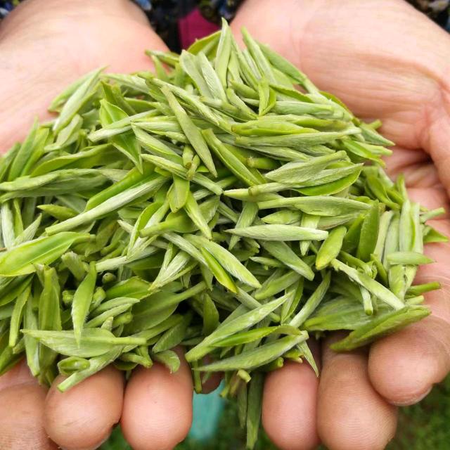 天赋茶叶有限公司