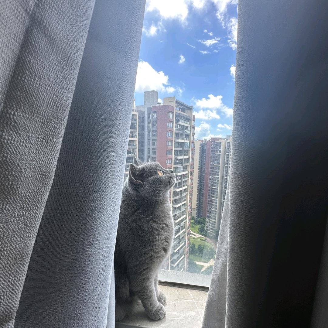 90后小区遛弯养老指南