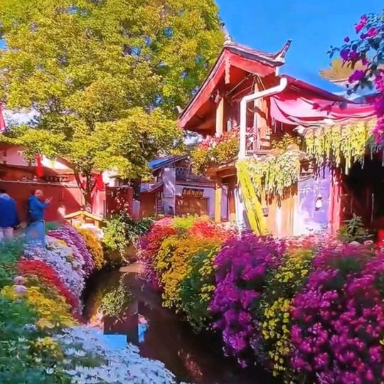 好运常在