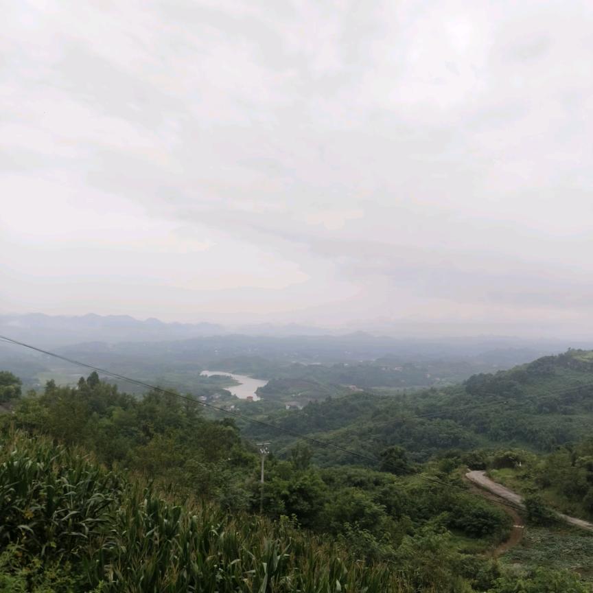 酒只伤胃不伤心