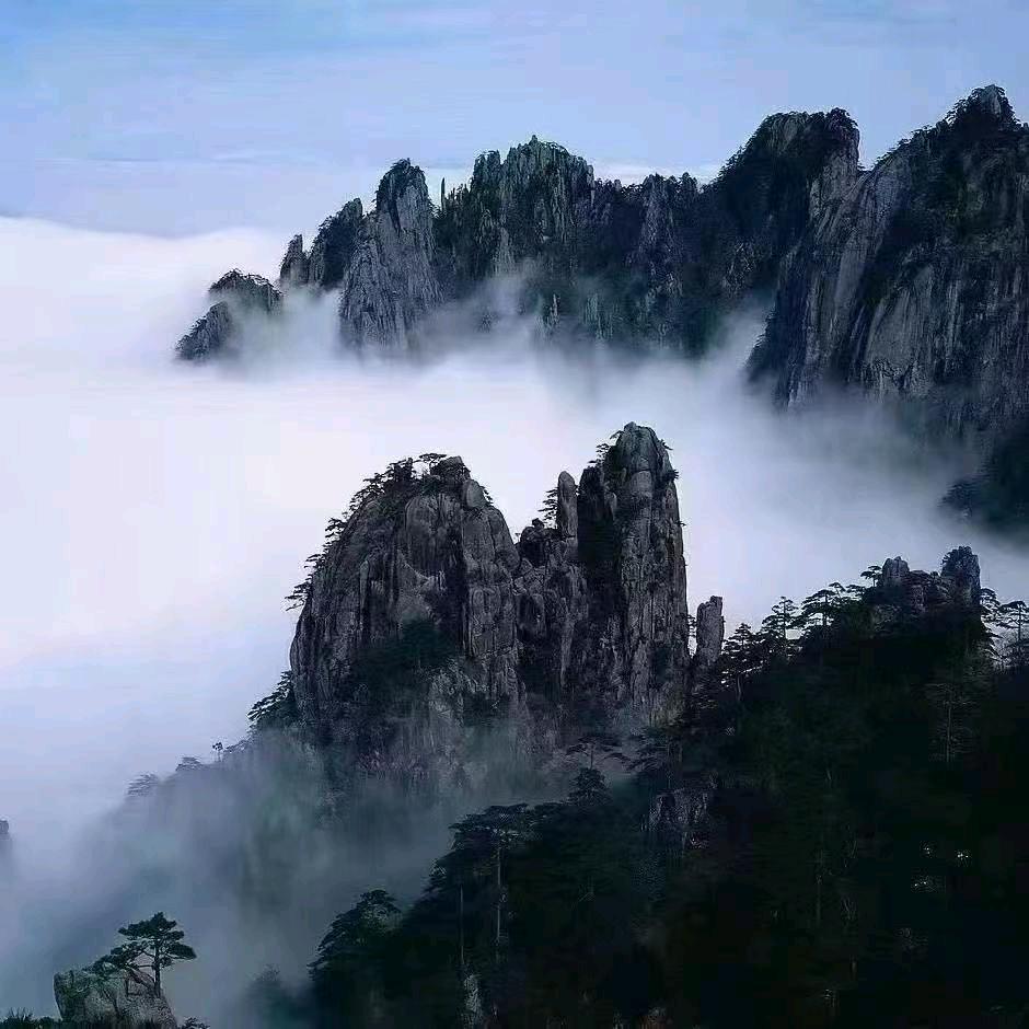 商业大宗，席文远2