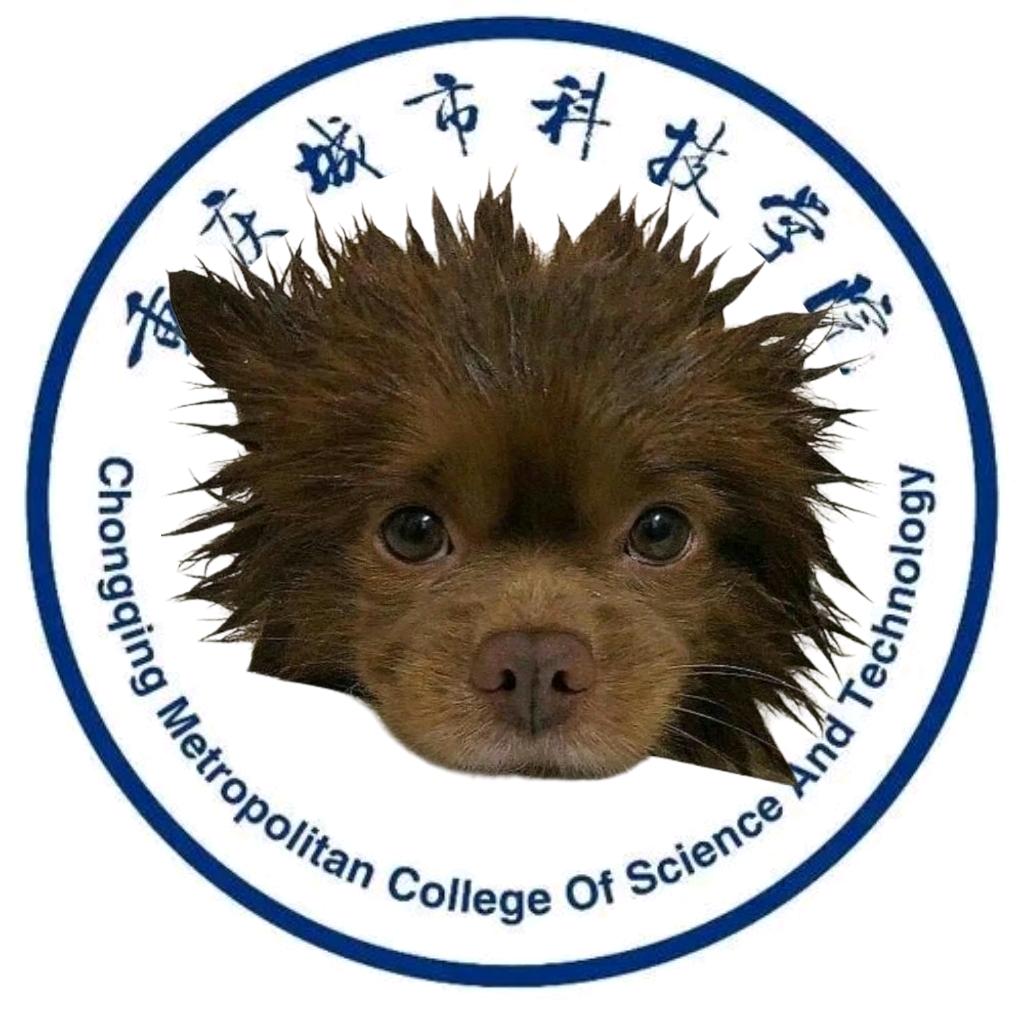 城科狙长（新生咨询版）