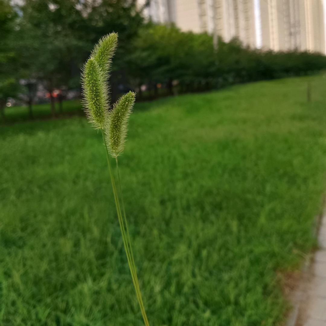 ༒ꪶꪮꪜꫀ·҉齐⁵²⁰༒