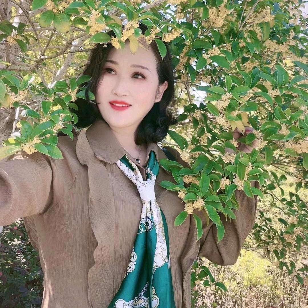 紫藤姐
