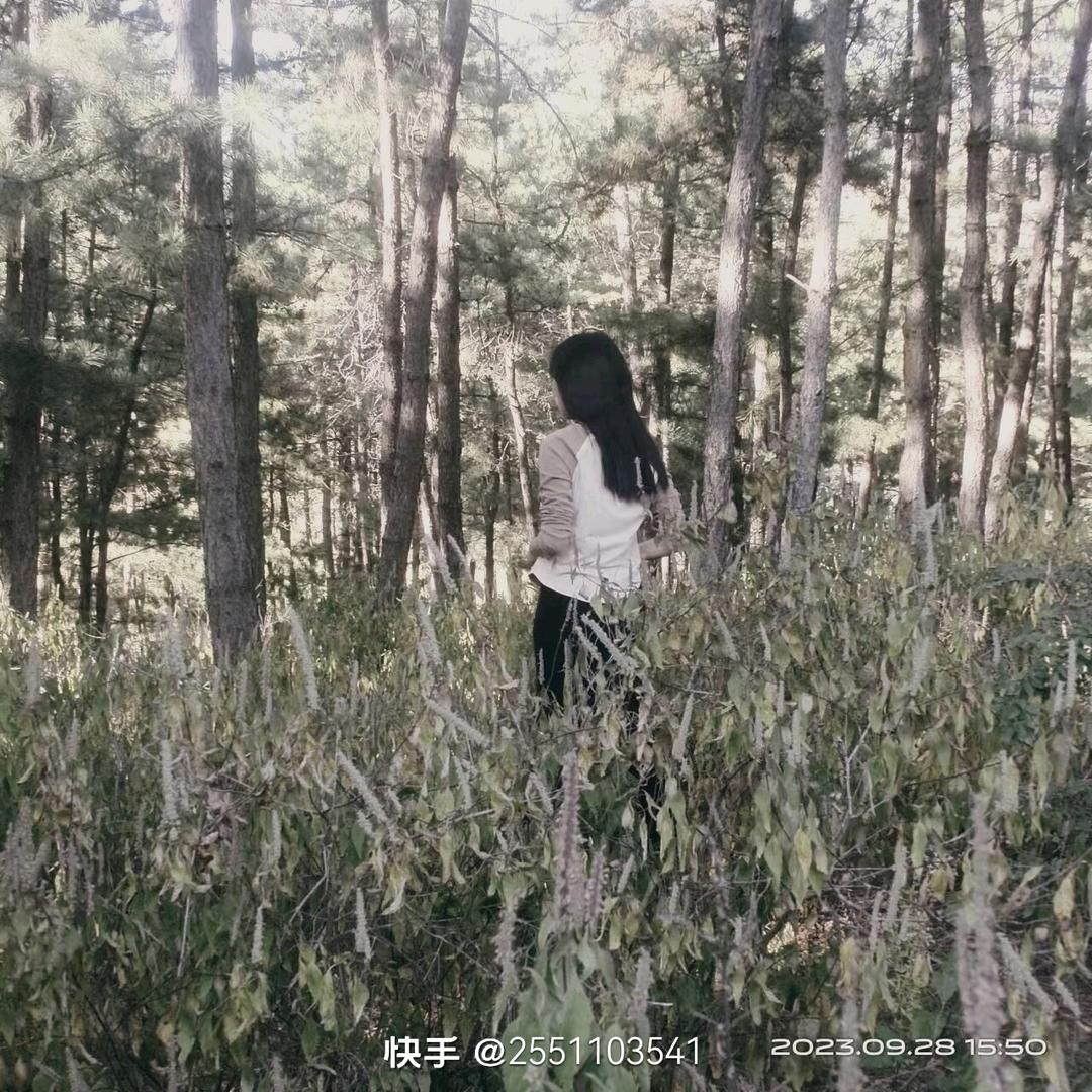 🦋情