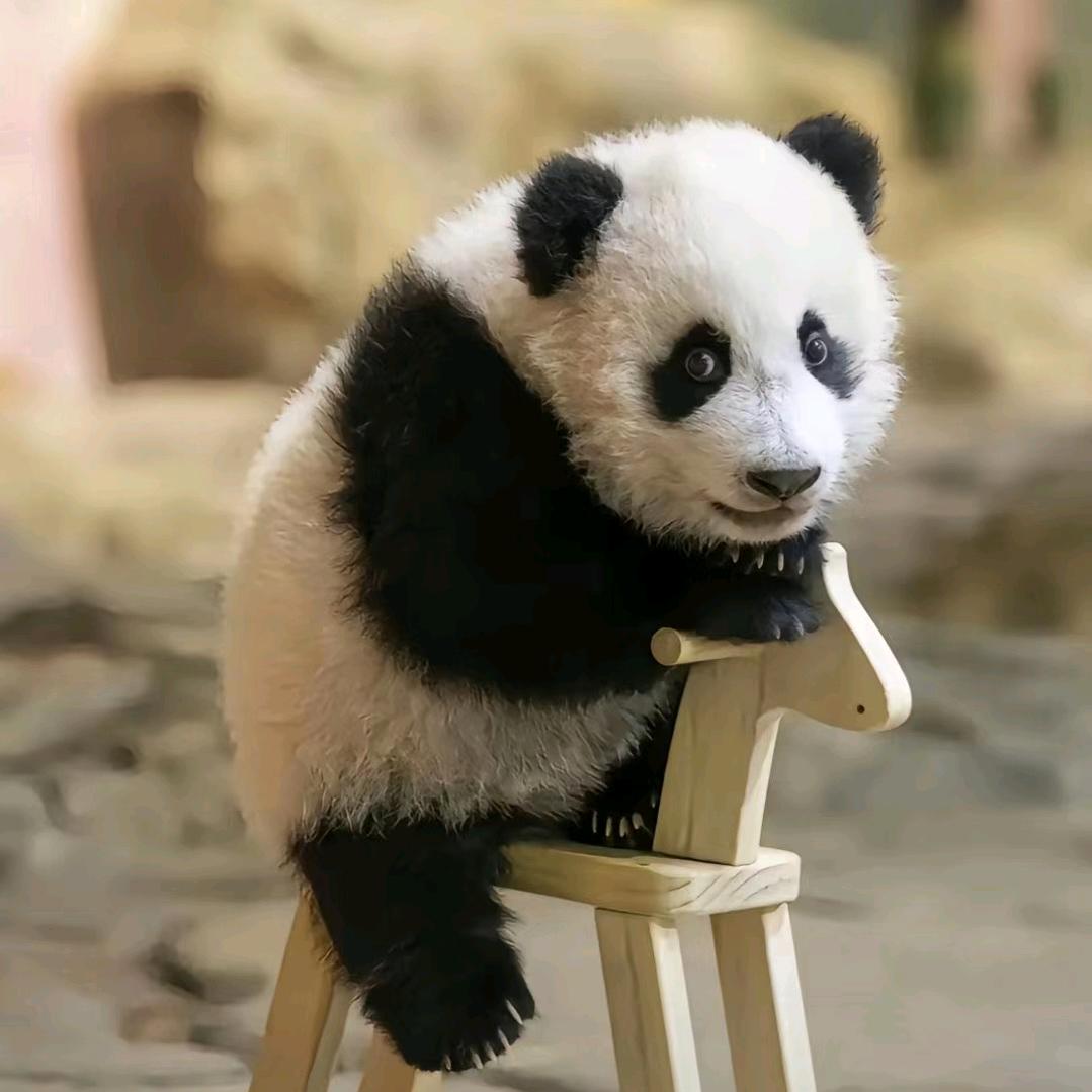 薪火长燃