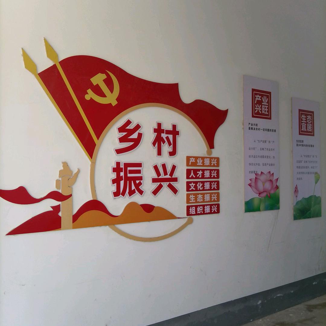 南杨村 村干部🌽