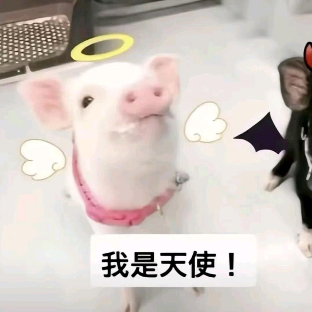 🌈鸳🌈零🌈