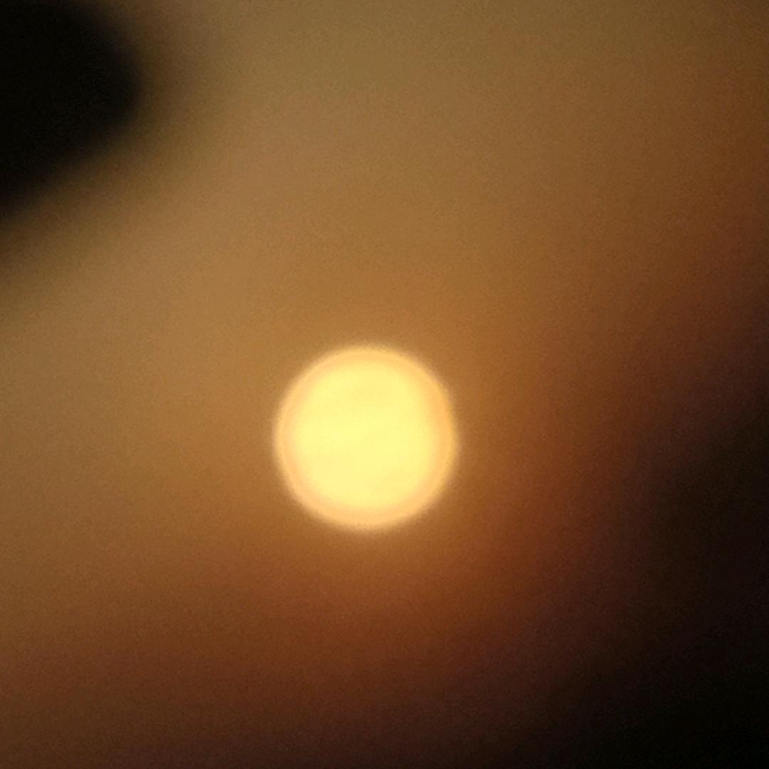 无敌小李