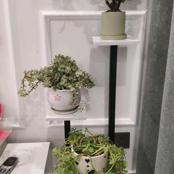 来老三