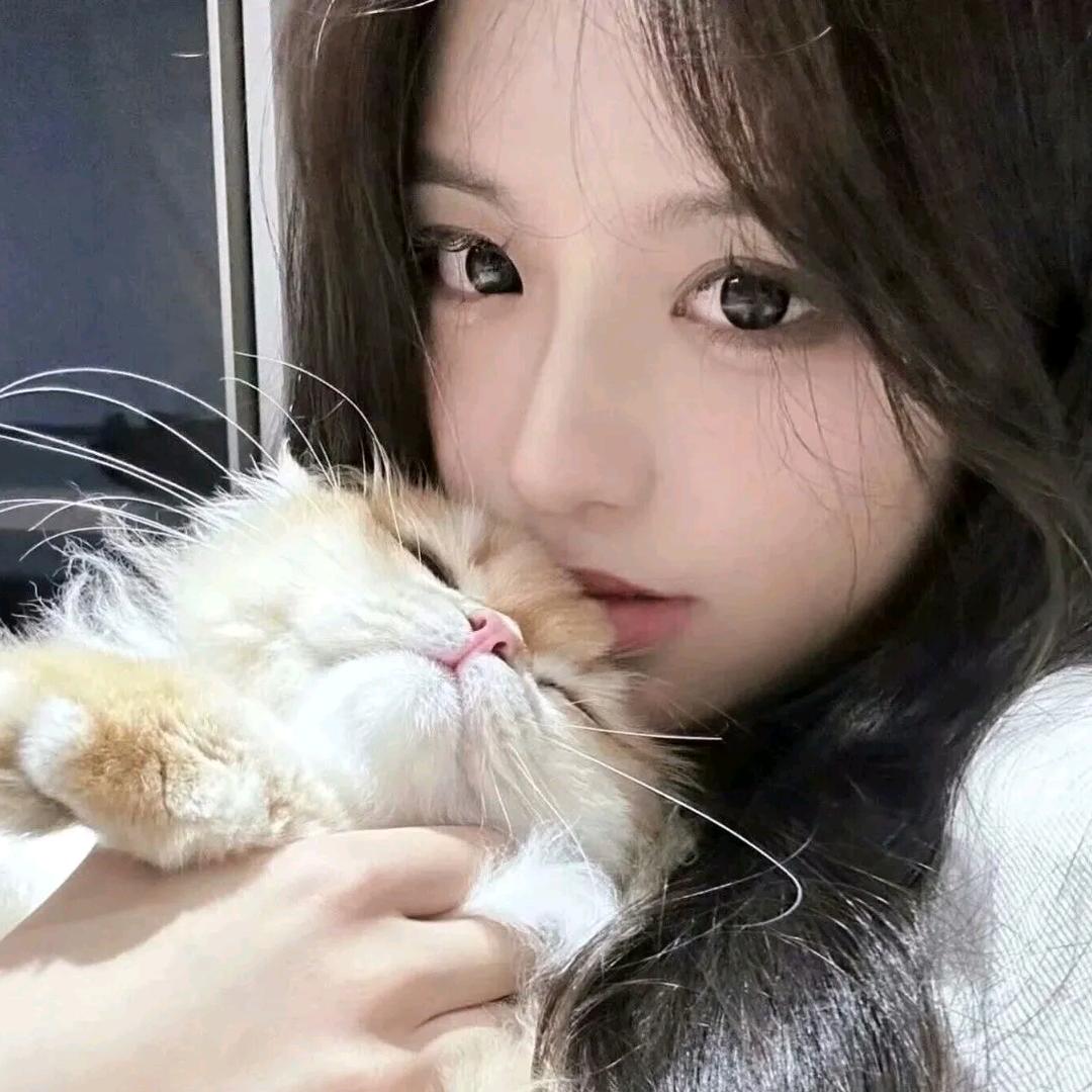 刘许诺