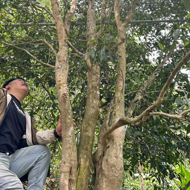 浩茗名品官方号