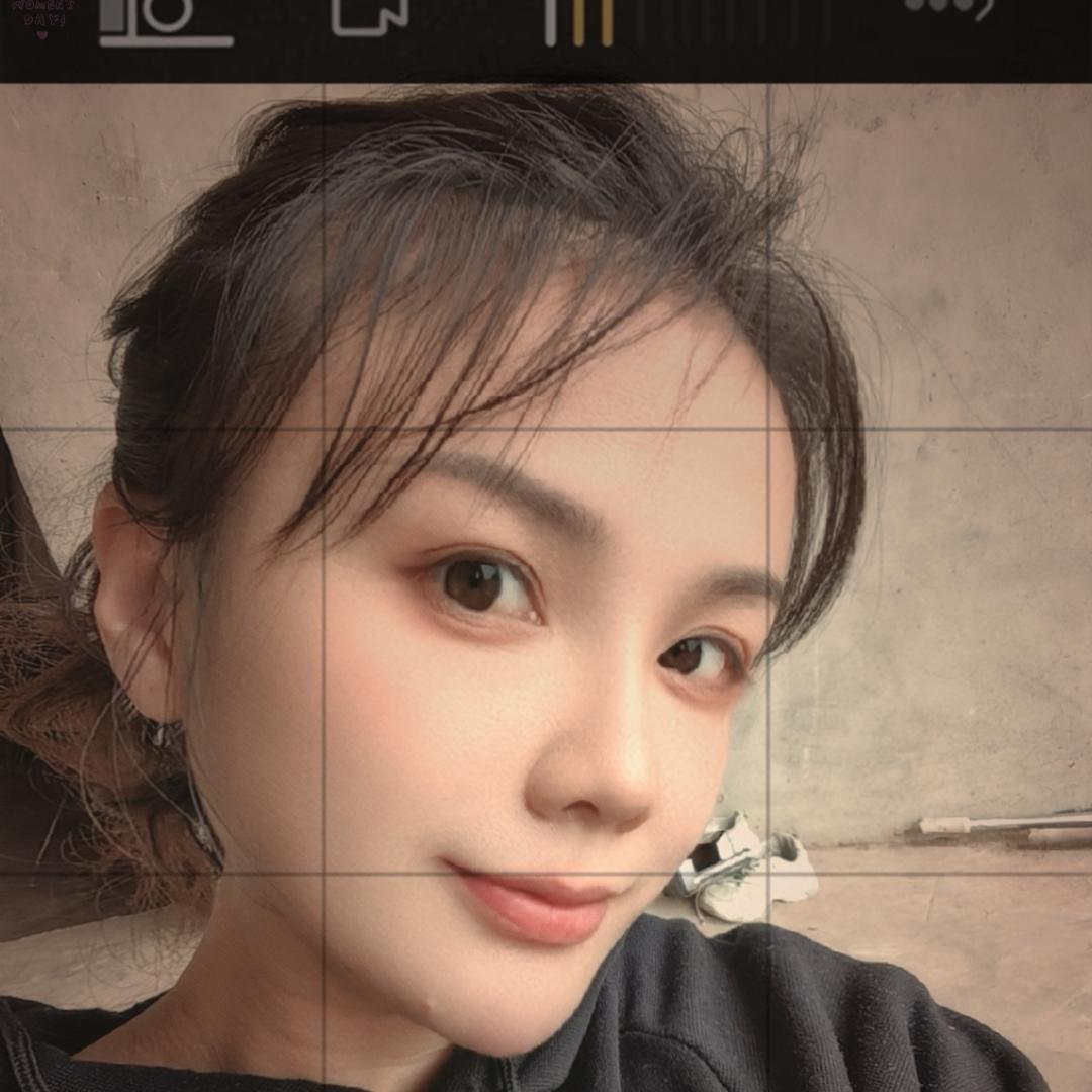洋甘菊