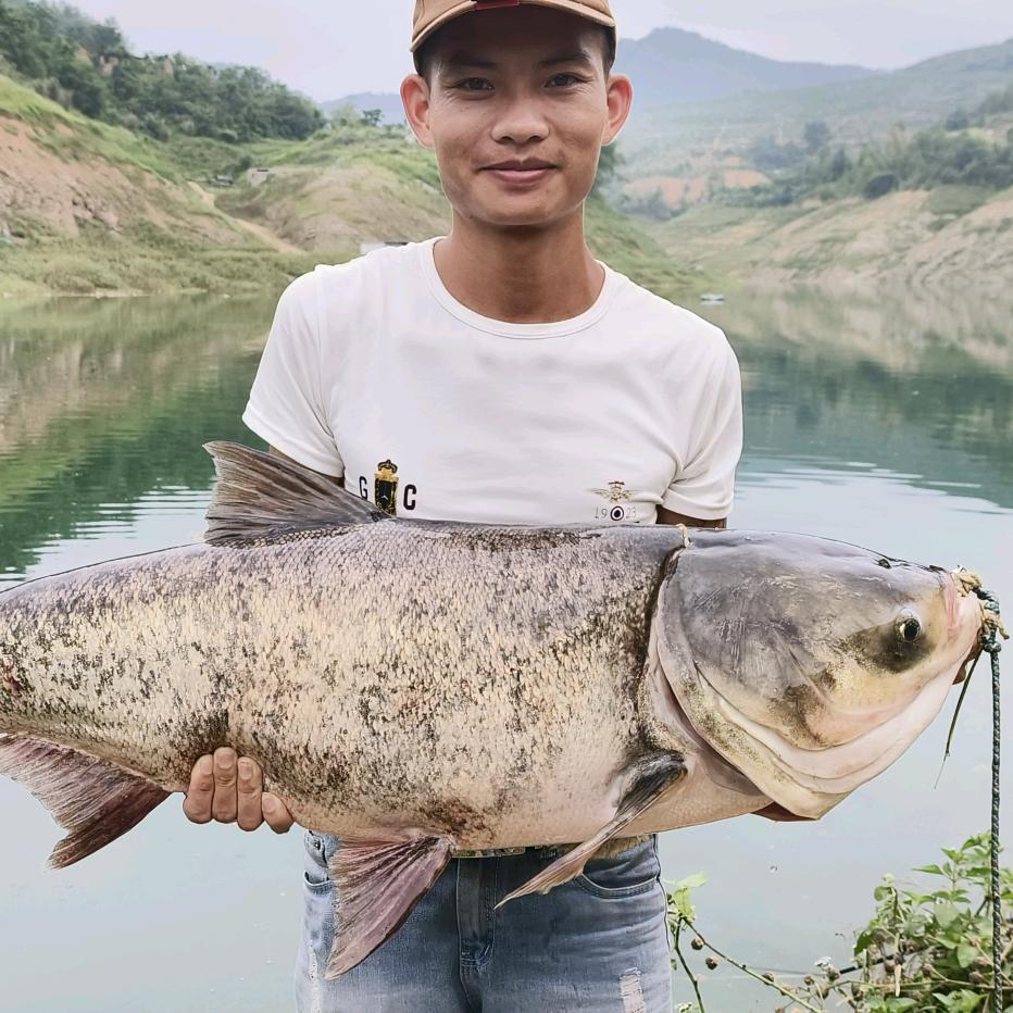 荒野垂钓（虎子