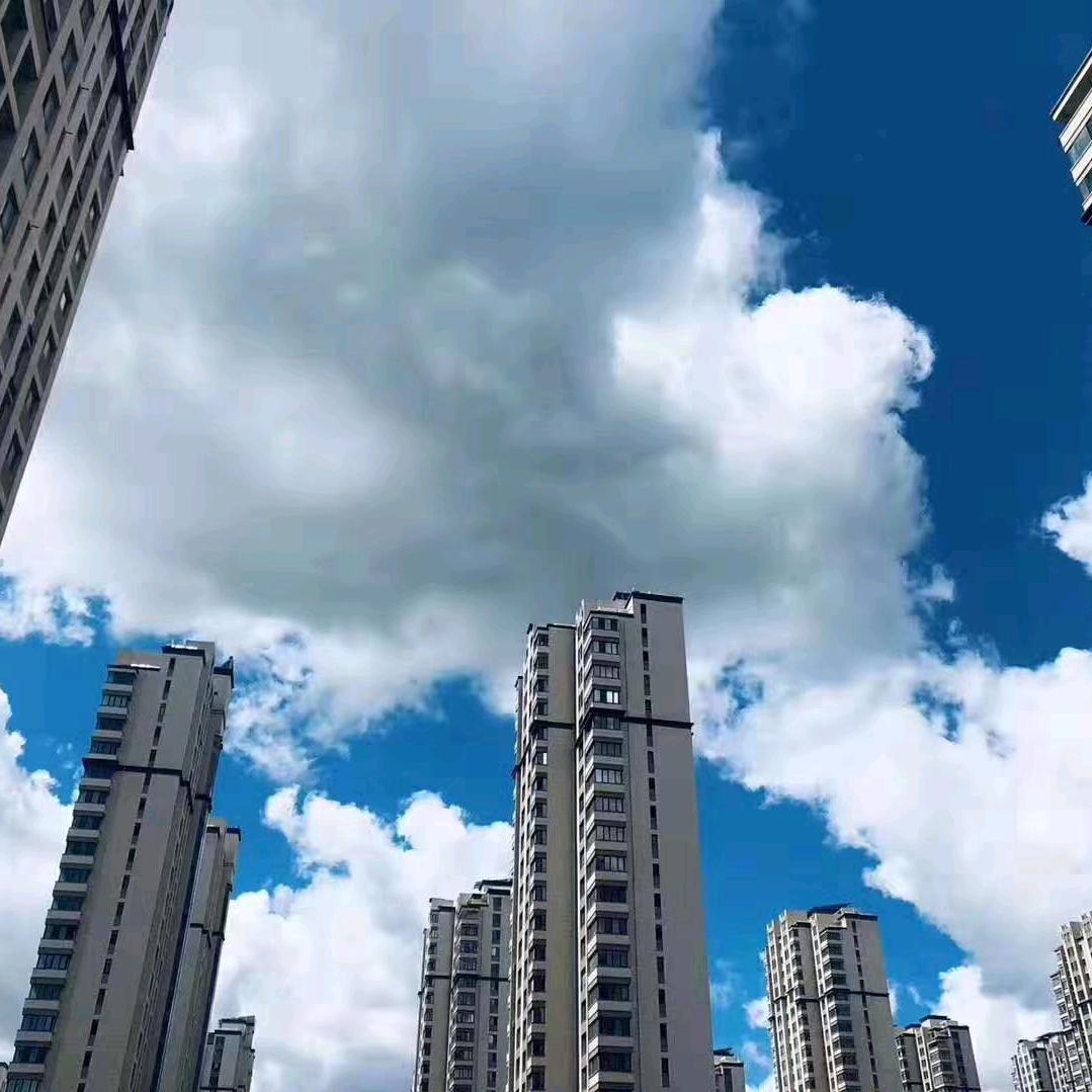 孤独的人