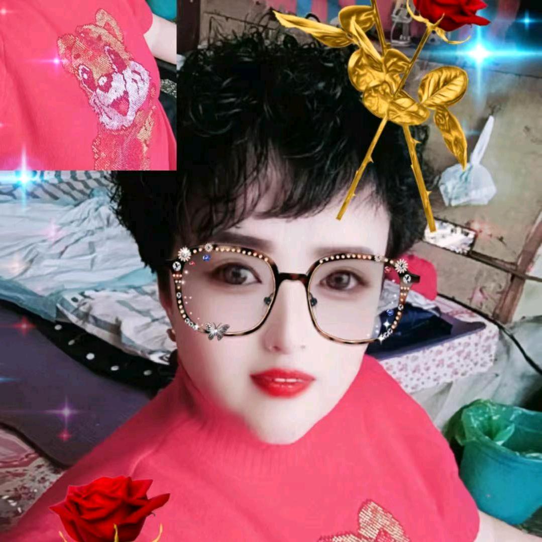 刚哥自媒体