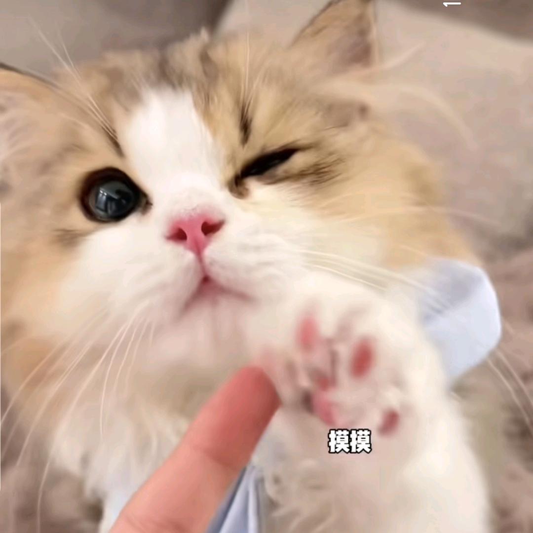 千金易得，一将难求