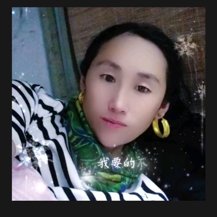 曲木木惹子