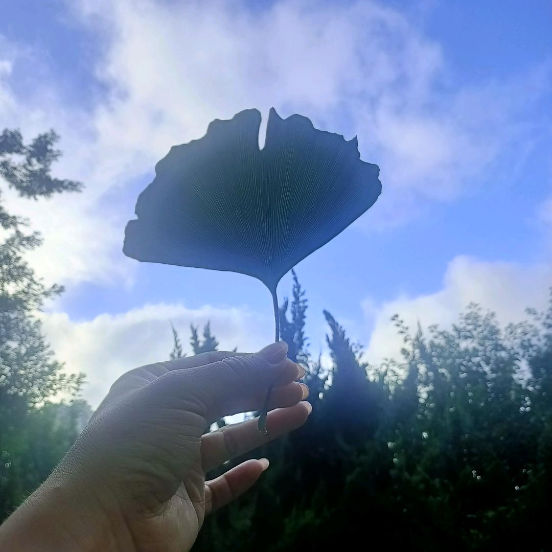 依✨琳✨妆婳👑舞台妆