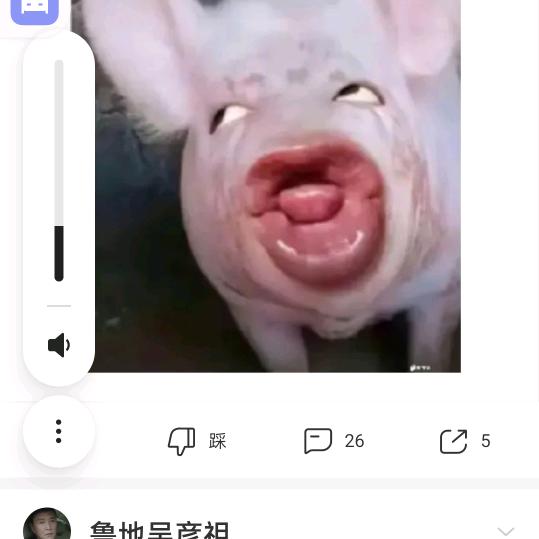 搞笑开心果