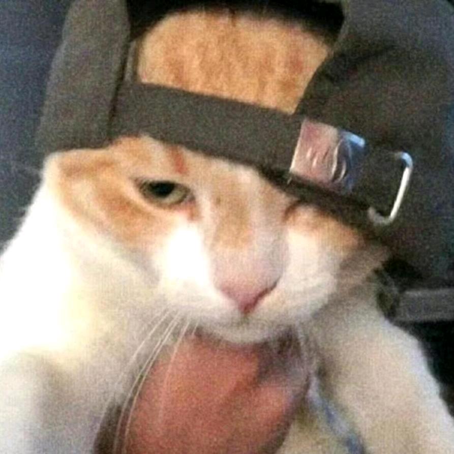 MOOD SWING（混音接单版）