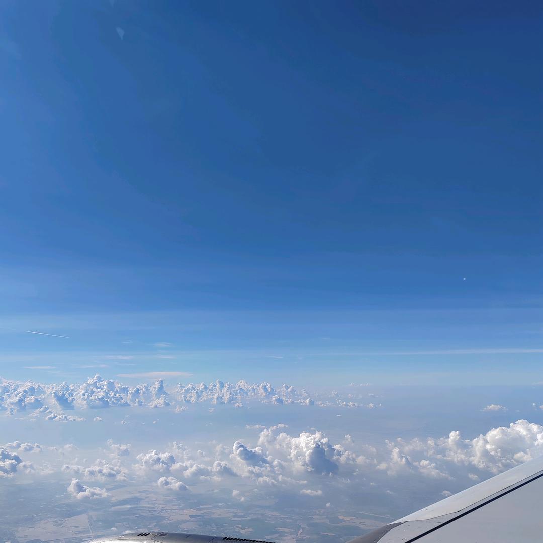 @￥￥我只看不说话