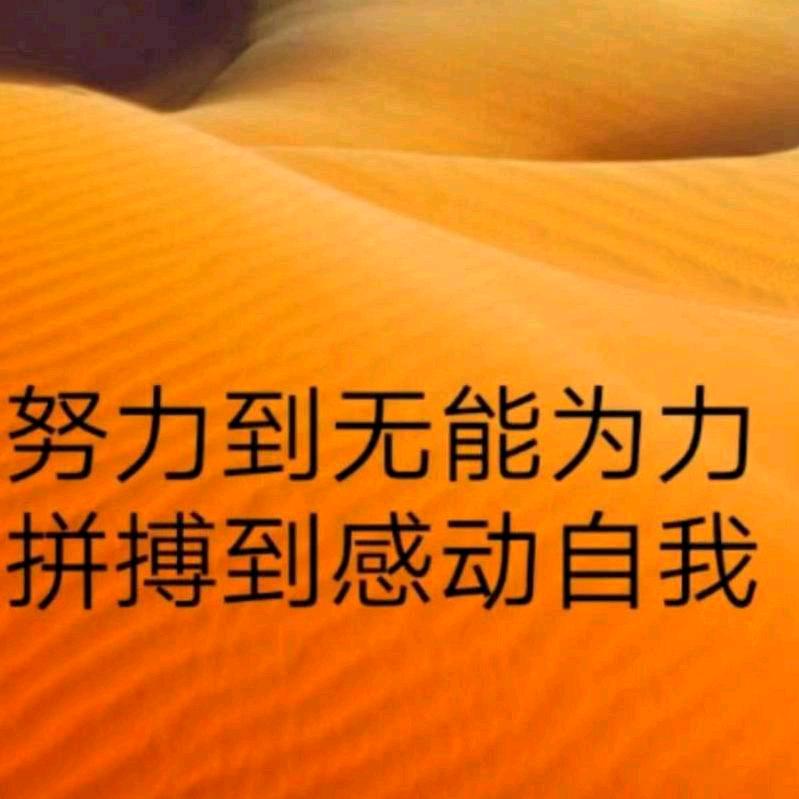 @平凡的世界