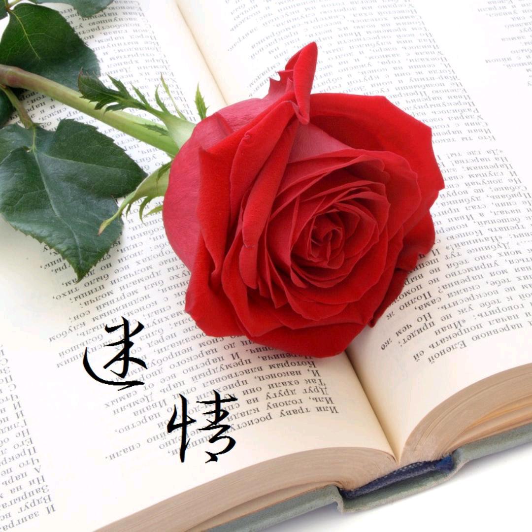 小闲肉