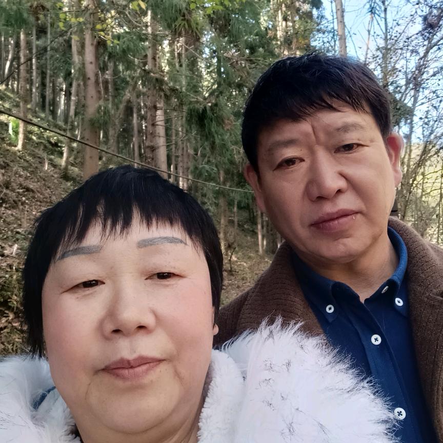 若人生只如初见